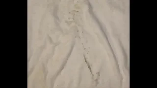Sperm explosion